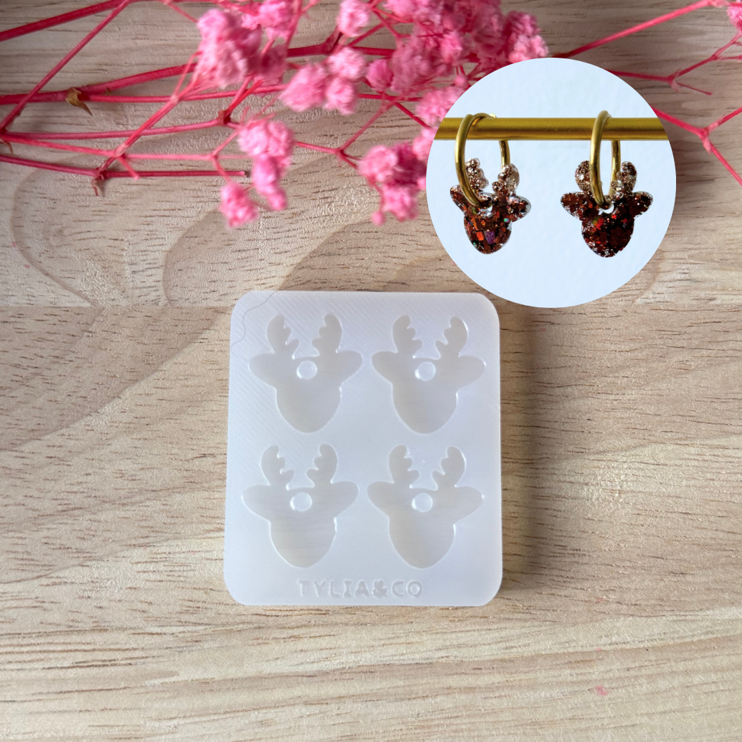 Mini moule rennes 20mm